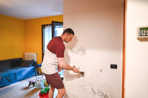 Best Mold Damage Repair  in Rk Forest Village, PA