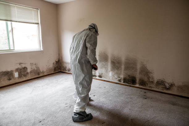 Best Emergency Mold Removal  in Rk Forest Village, PA